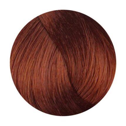 vafi 6.402 echoscolor