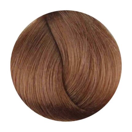 vafi malliwn echoscolor 7.74